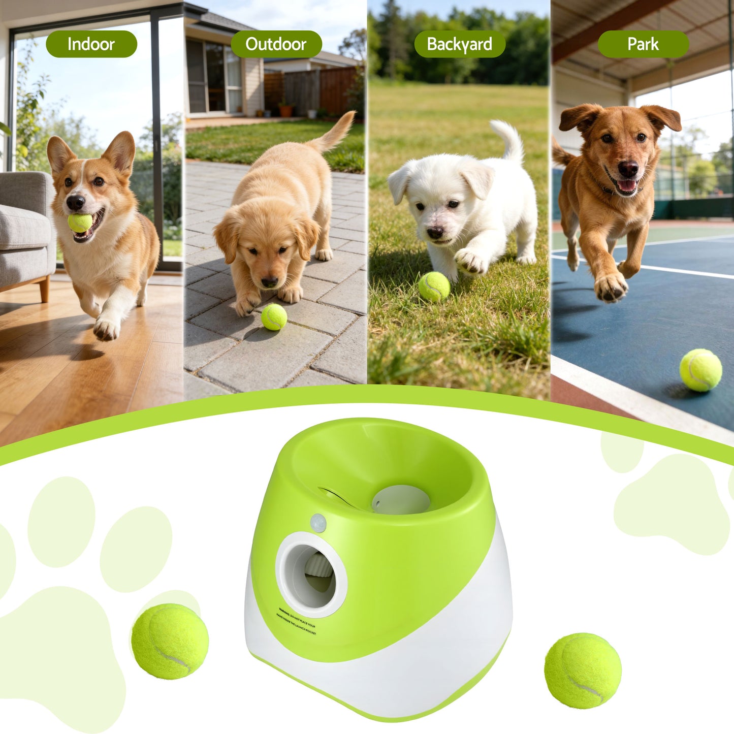 PET-DOG-6BALL-9M-GN-202603181836-06.jpg