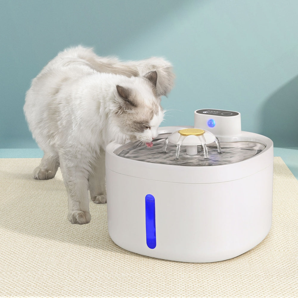 PET-FEEDER-SMART-WH-183388-06.jpg