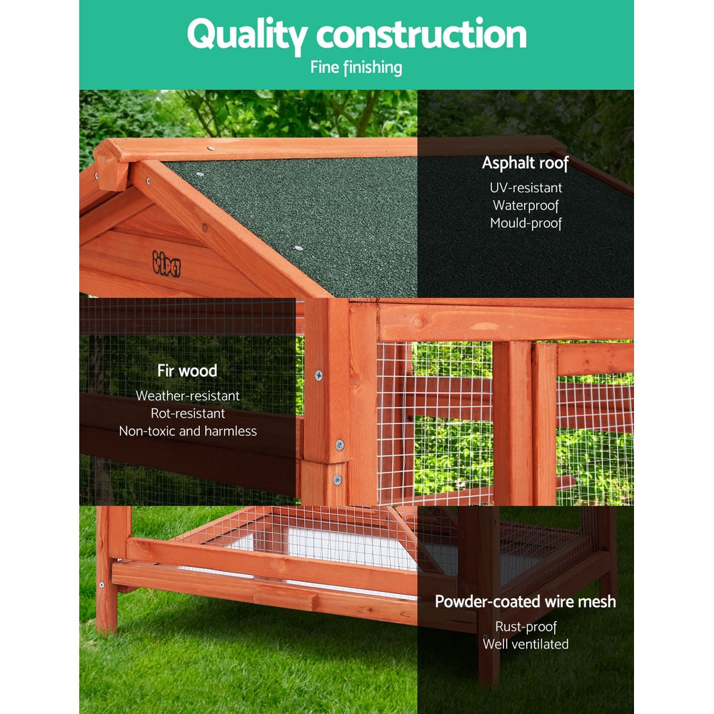 PET-GT-BIRD-WBC02-202502281804-03.jpg