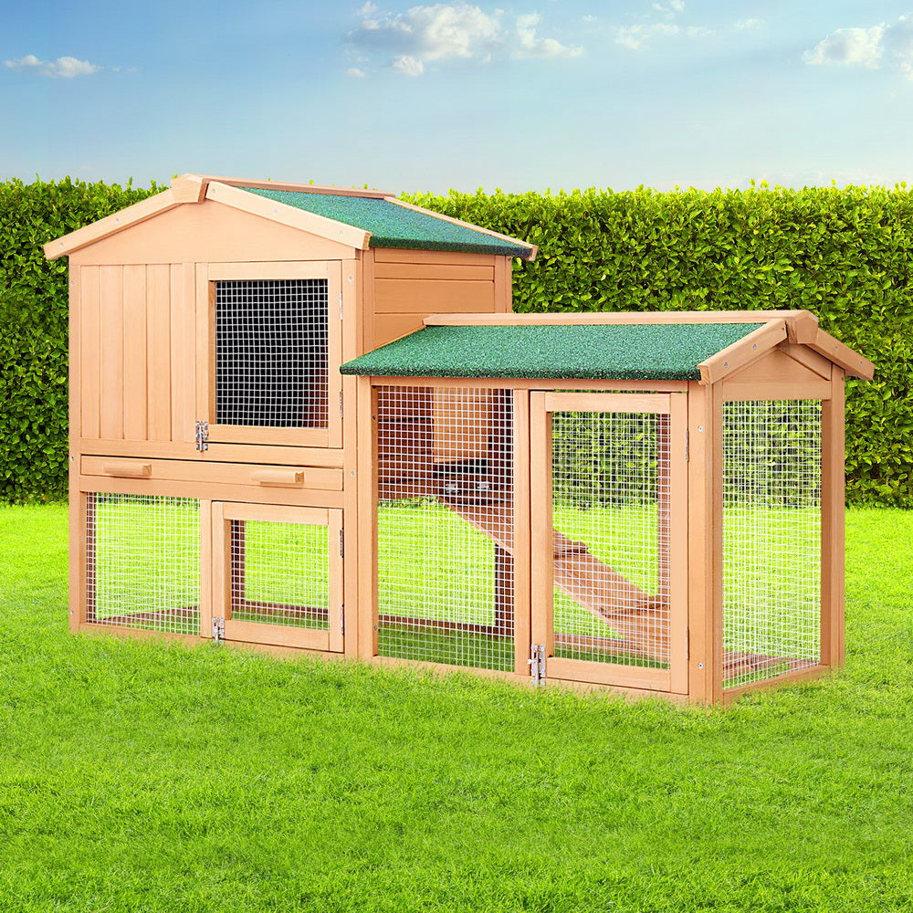 PET-GT-WOOD-R036-202502281812-00.jpg