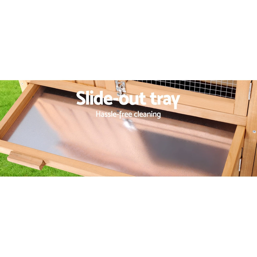 PET-GT-WOOD-R036-202502281812-06.jpg