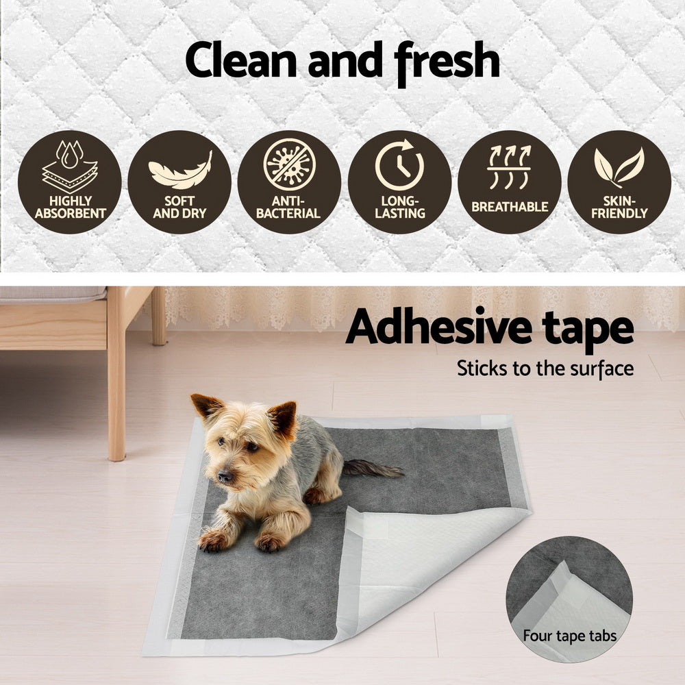 PET-PAD-GR-400-172468-05.jpg