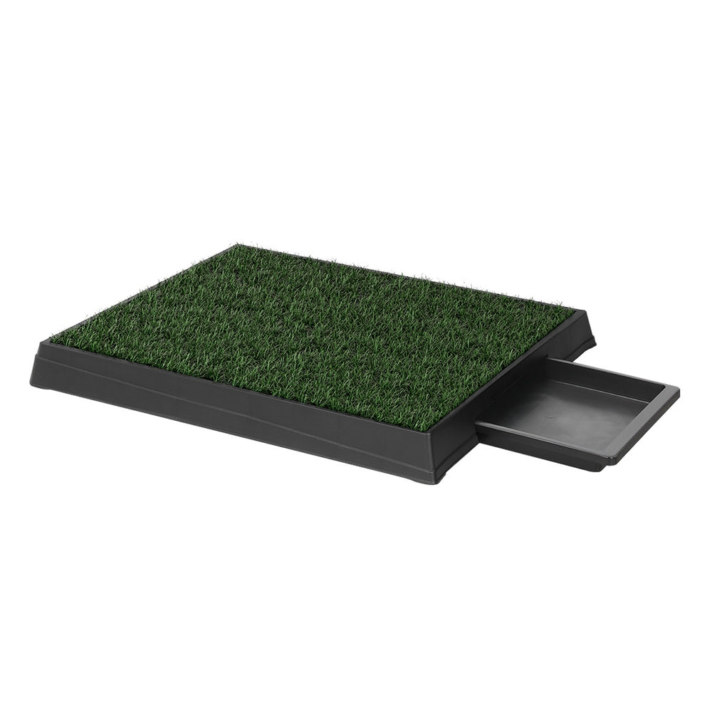 PET-PAD-GRASSX1-139238-00.jpg