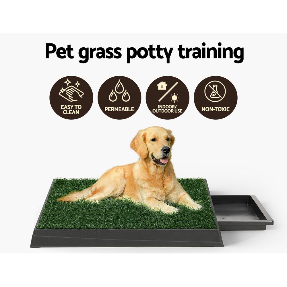 PET-PAD-GRASSX1-139238-03.jpg