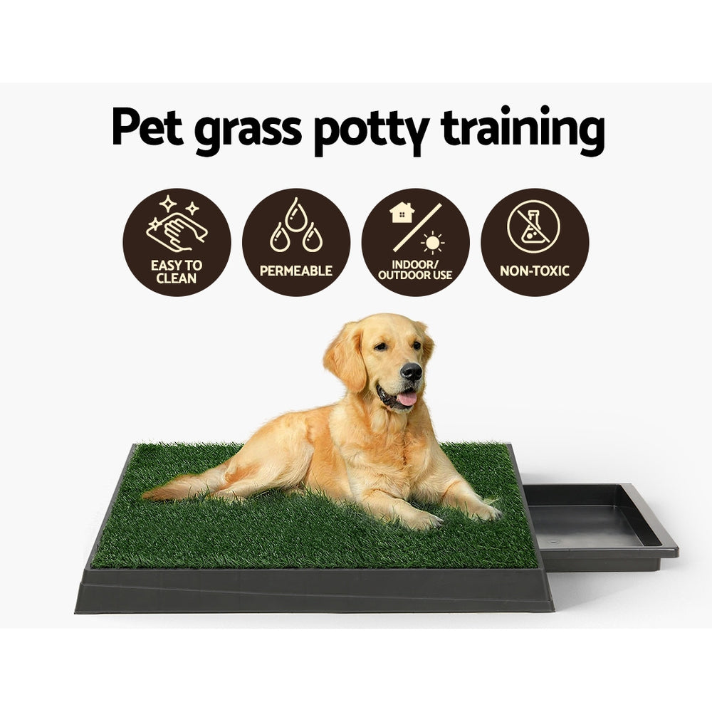 PET-PAD-GRASSX2-139239-03.jpg