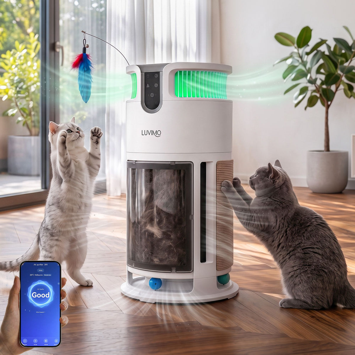 PET-PURI-SCRATCH01-WH-11.jpg