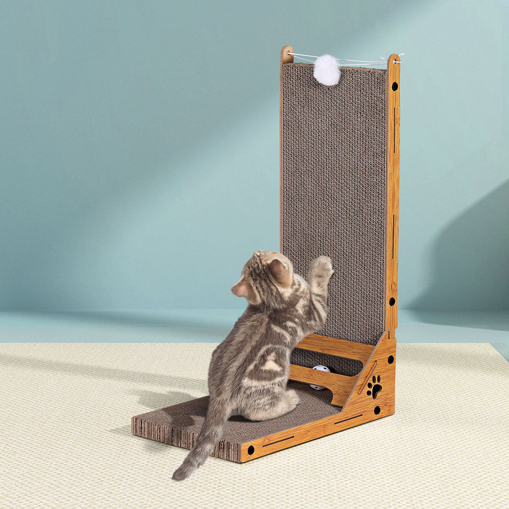 PET-SCRATCH-L62-BR-167868-05.jpg