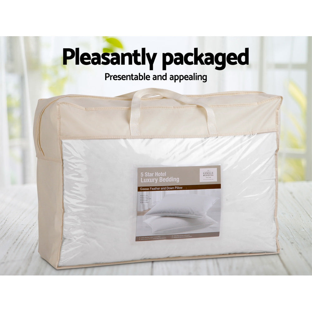 PILLOW-GOOSE-X2-202502281434-05.jpg