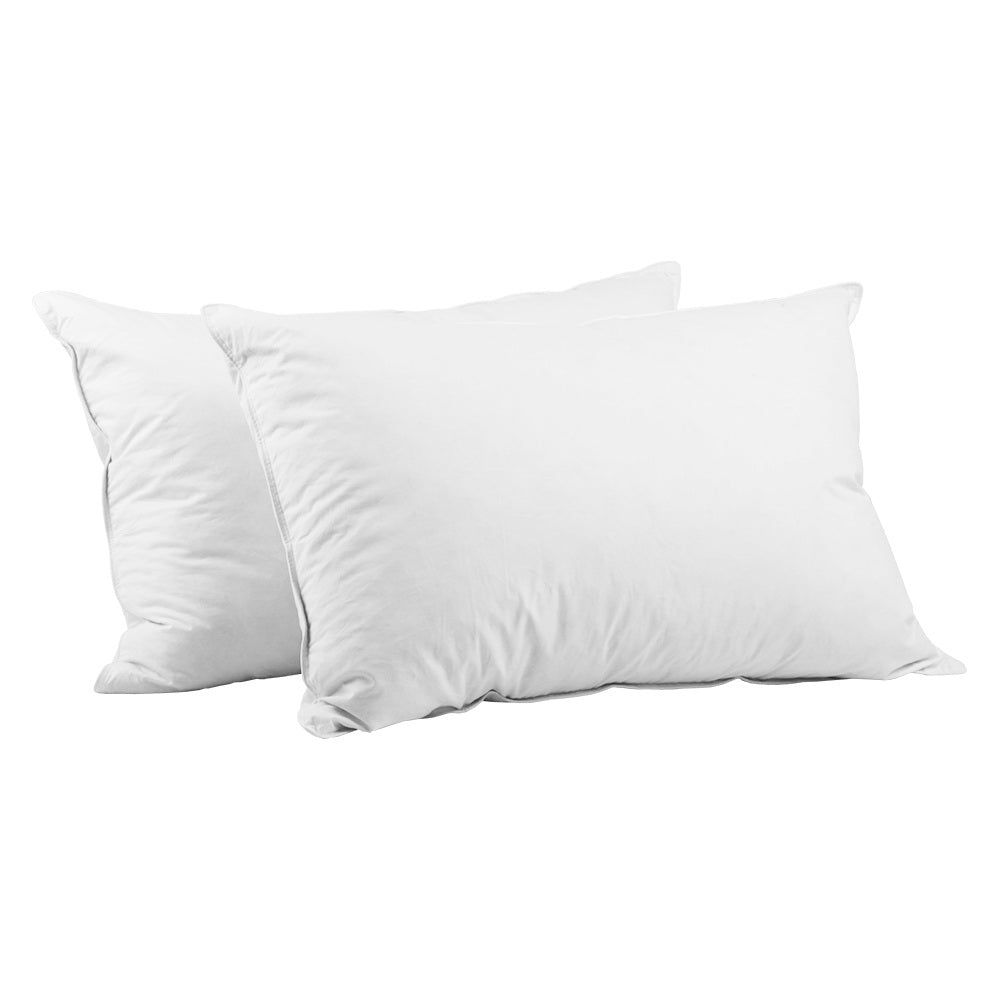 PILLOW-GOOSE-X2-202502281434-07.jpg