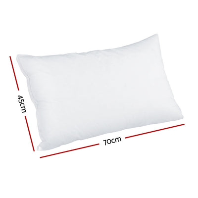 PILLOW-MEFO-SHEDX2-202508201954-01.jpg