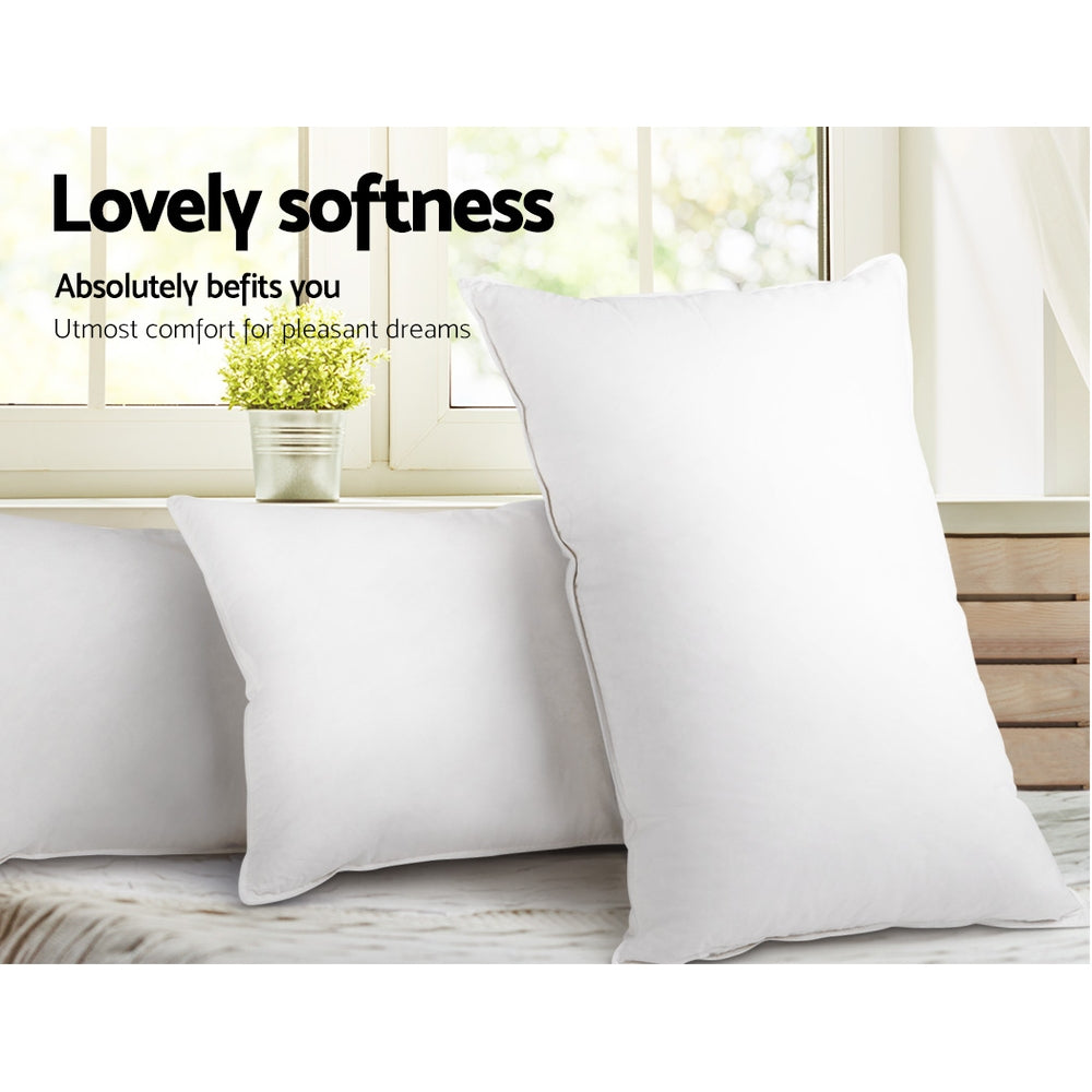 PILLOW-MICRO-2M2F-202502281438-04.jpg