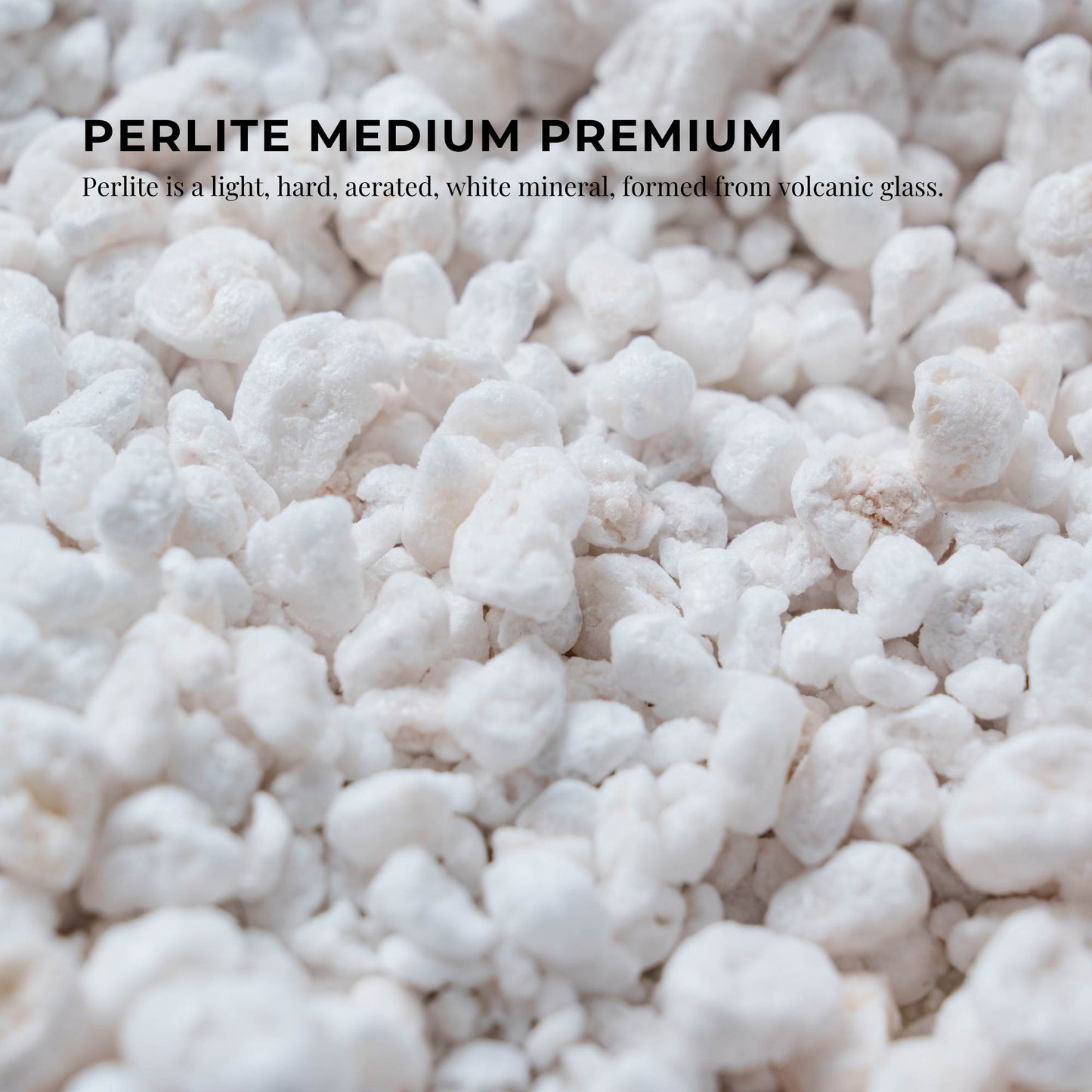 Perlite Medium Premium Soil Expanded Plant Growing Media Plants Hydroponics