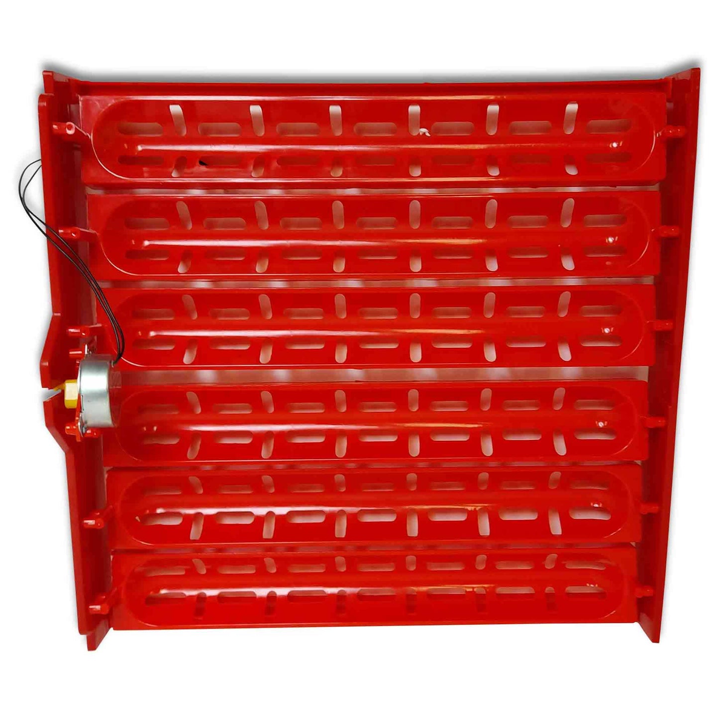 Rooster Farms Electric 60 Egg Incubator + Accessories for Chicken Quail Duck