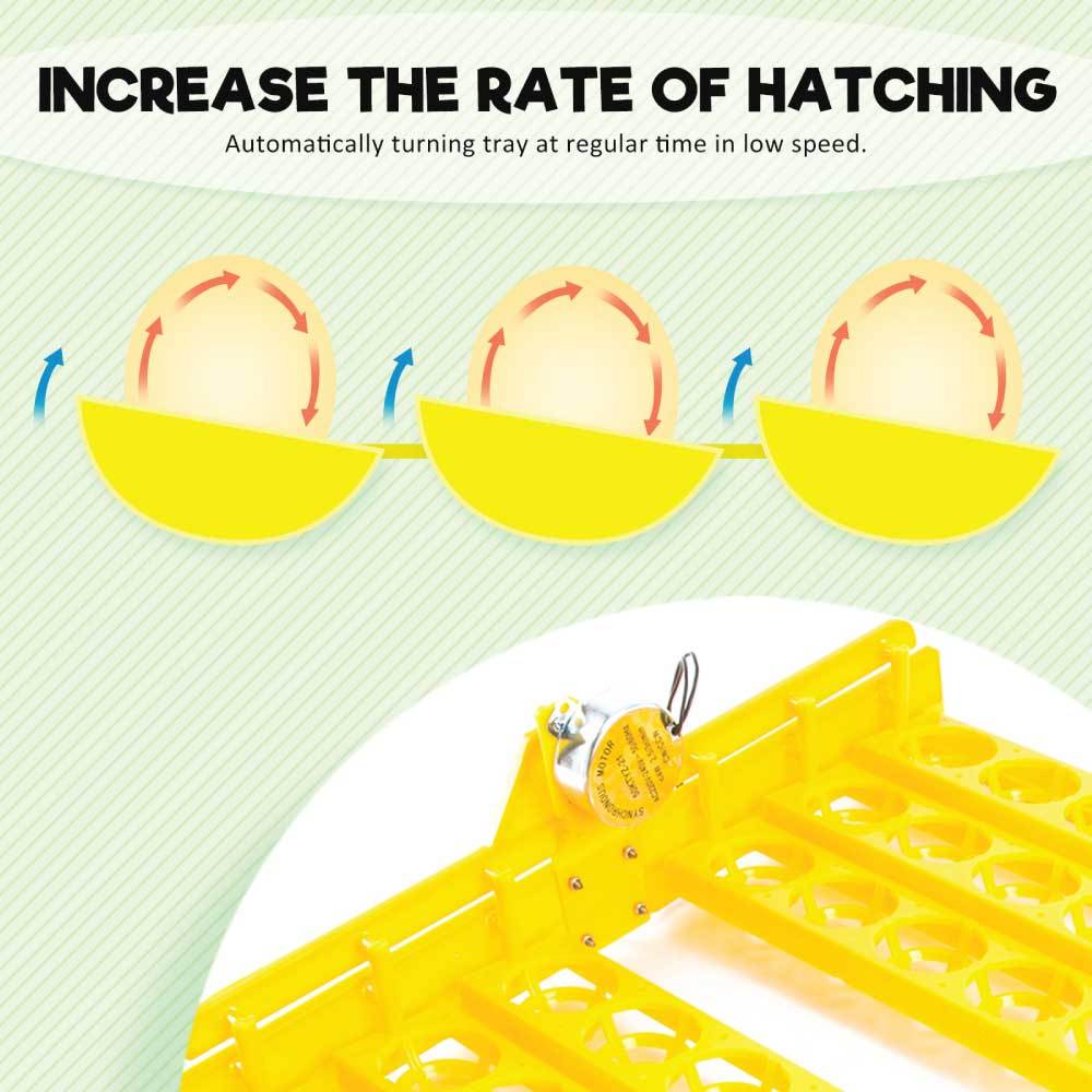 Rooster Farms Electric 96 Egg Incubator + Accessories for Chicken Quail Duck