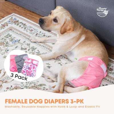 Rooster Farms Female Dog Diapers 3Pk Washable Reusable Nappies Hook + Loop Fit