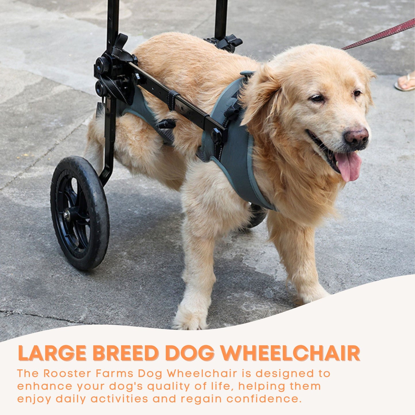 Rooster Farms Large Breed Dog Wheelchair - Adjustable Back Hind Leg Mobility Aid