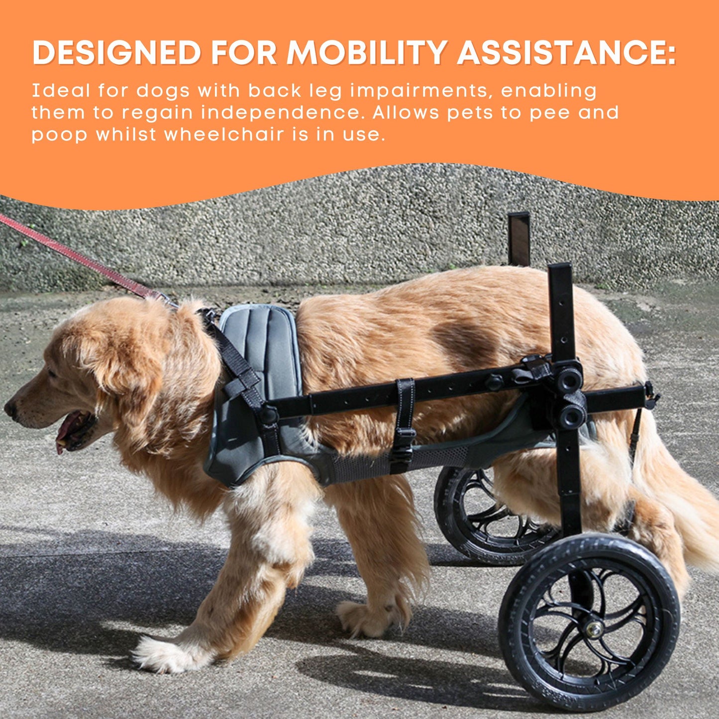 Rooster Farms Large Breed Dog Wheelchair - Adjustable Back Hind Leg Mobility Aid