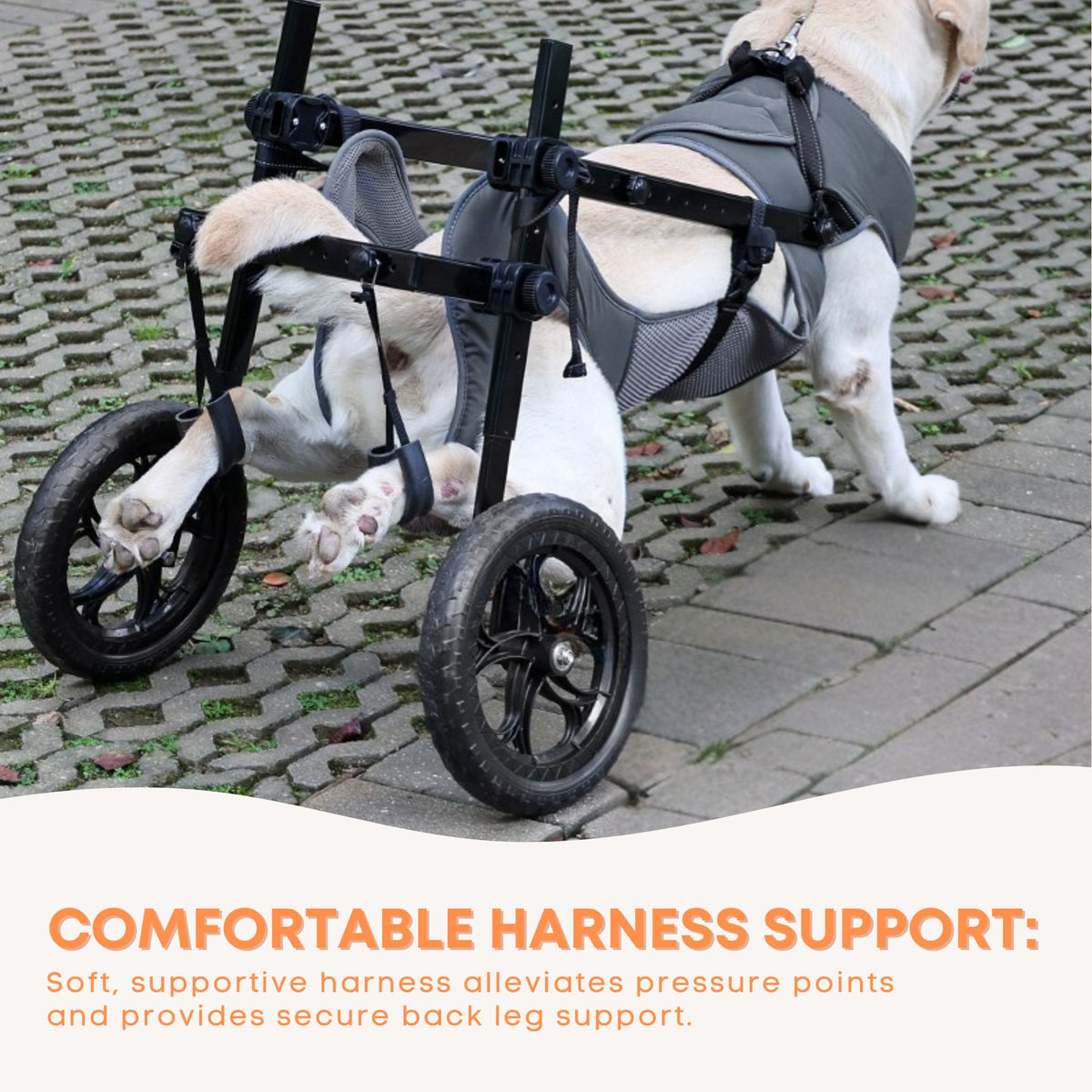 Rooster Farms Large Breed Dog Wheelchair - Adjustable Back Hind Leg Mobility Aid