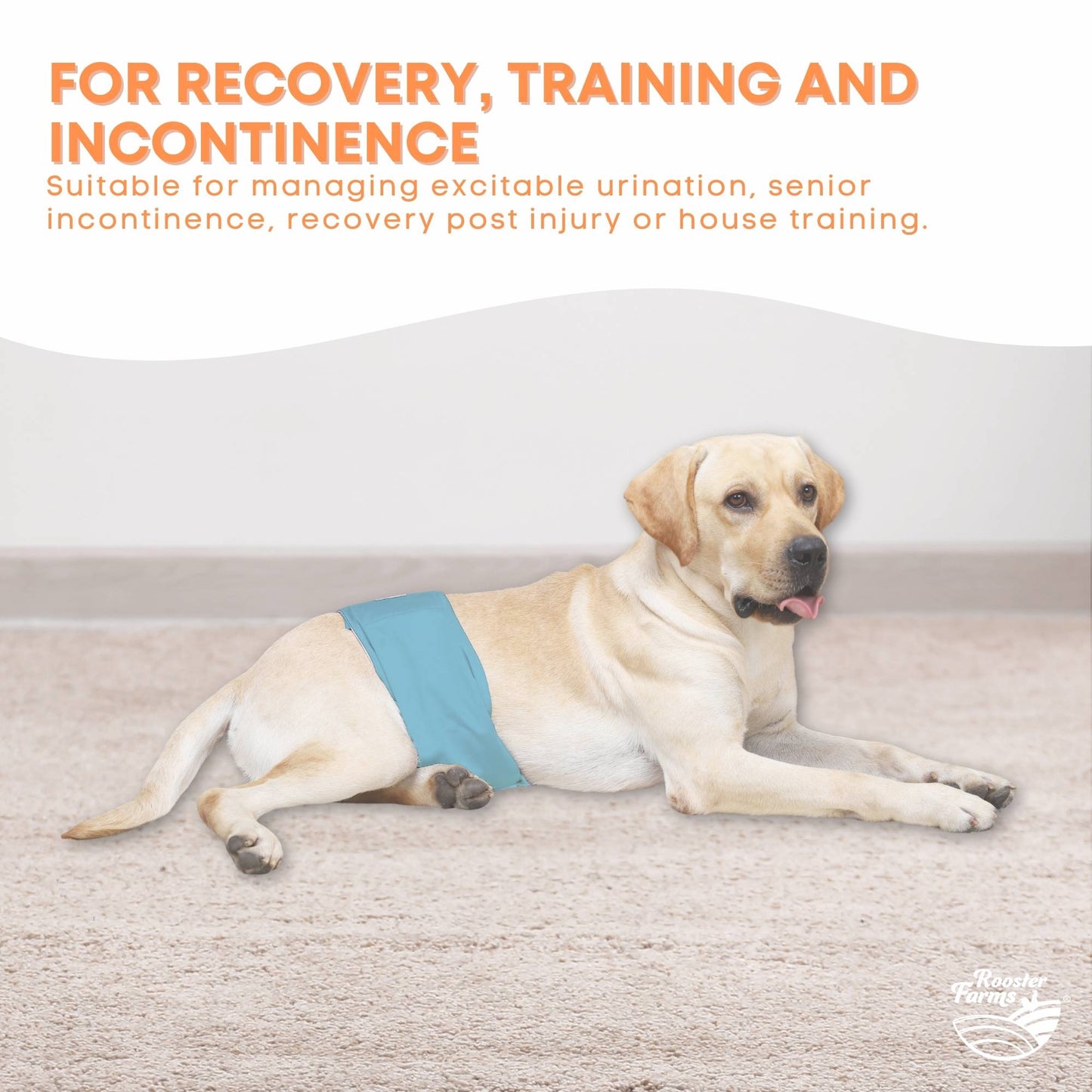 Rooster Farms Male Dog Diapers Medium 3Pk - Washable Reusable Nappies Hook/Loop