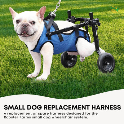 Rooster Farms Replacement Harness for Little Dog Wheelchair S - Up to 10Kg