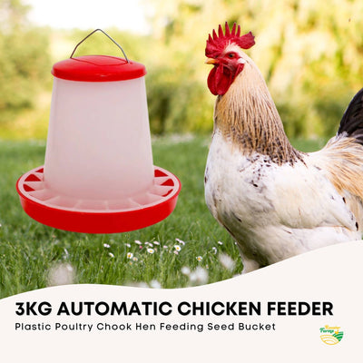 Rooster Farms 3Kg Automatic Chicken Feeder - Poultry Hen Feeding Seed Bucket
