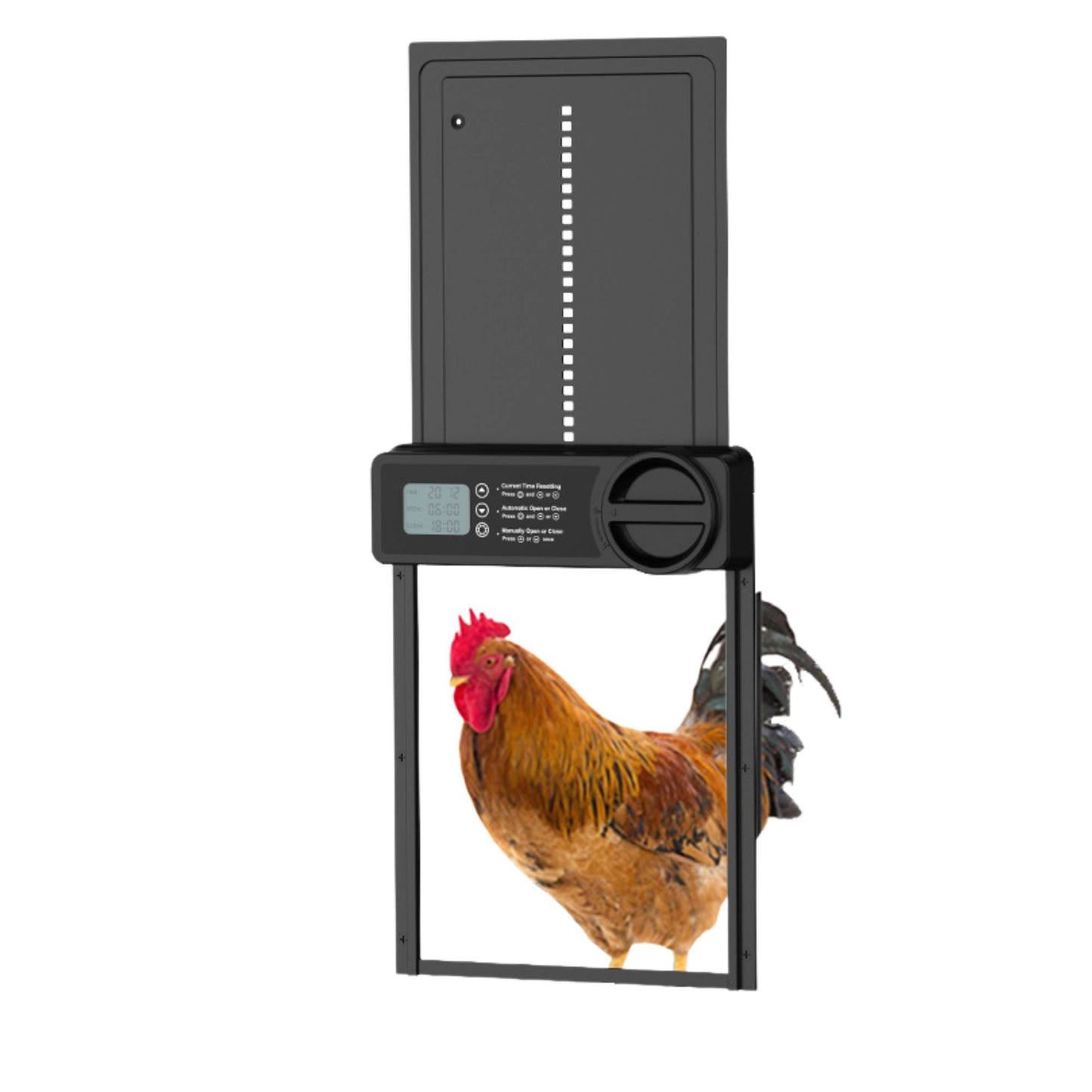 Rooster Farms Automatic Chicken Coop Door - Battery Timer Anti Pinch Safety