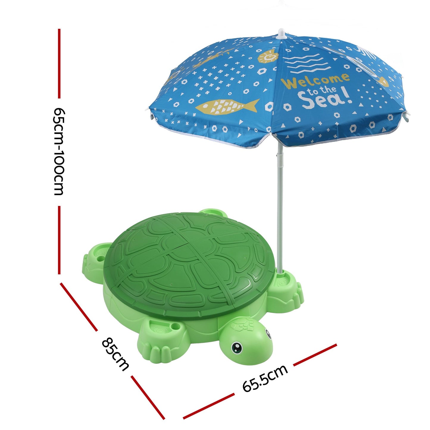 SAND-TURTLE-GN-01.jpg