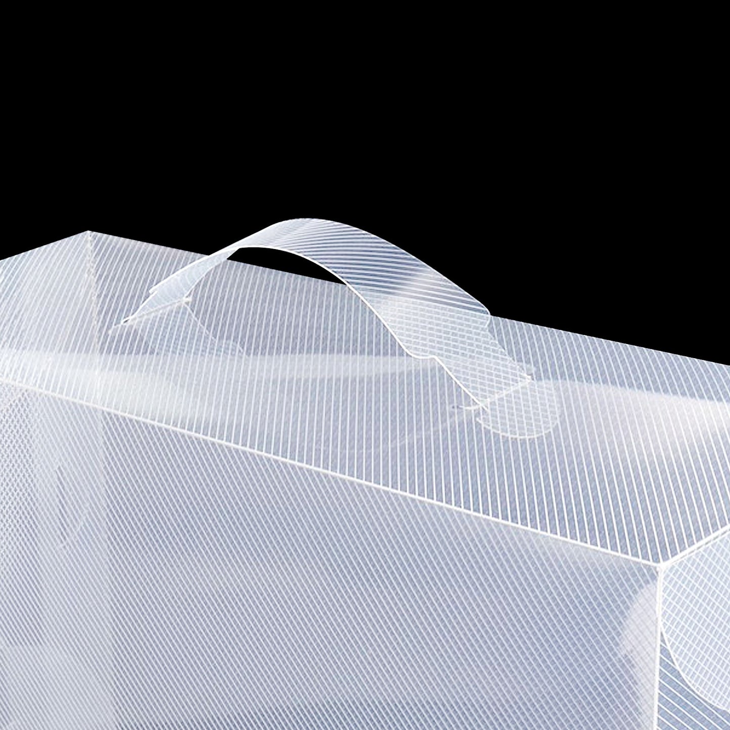 SHOEBOX-PP-20X2-05.jpg