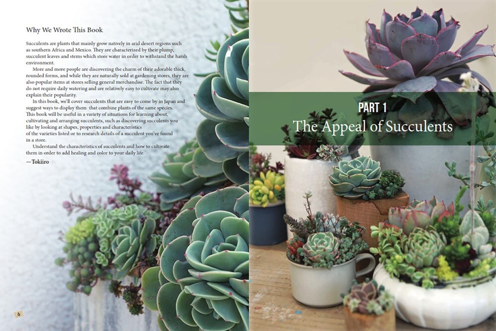 Succulents Made Easy: A Beginner's Guide (Featuring 200 Varieties)