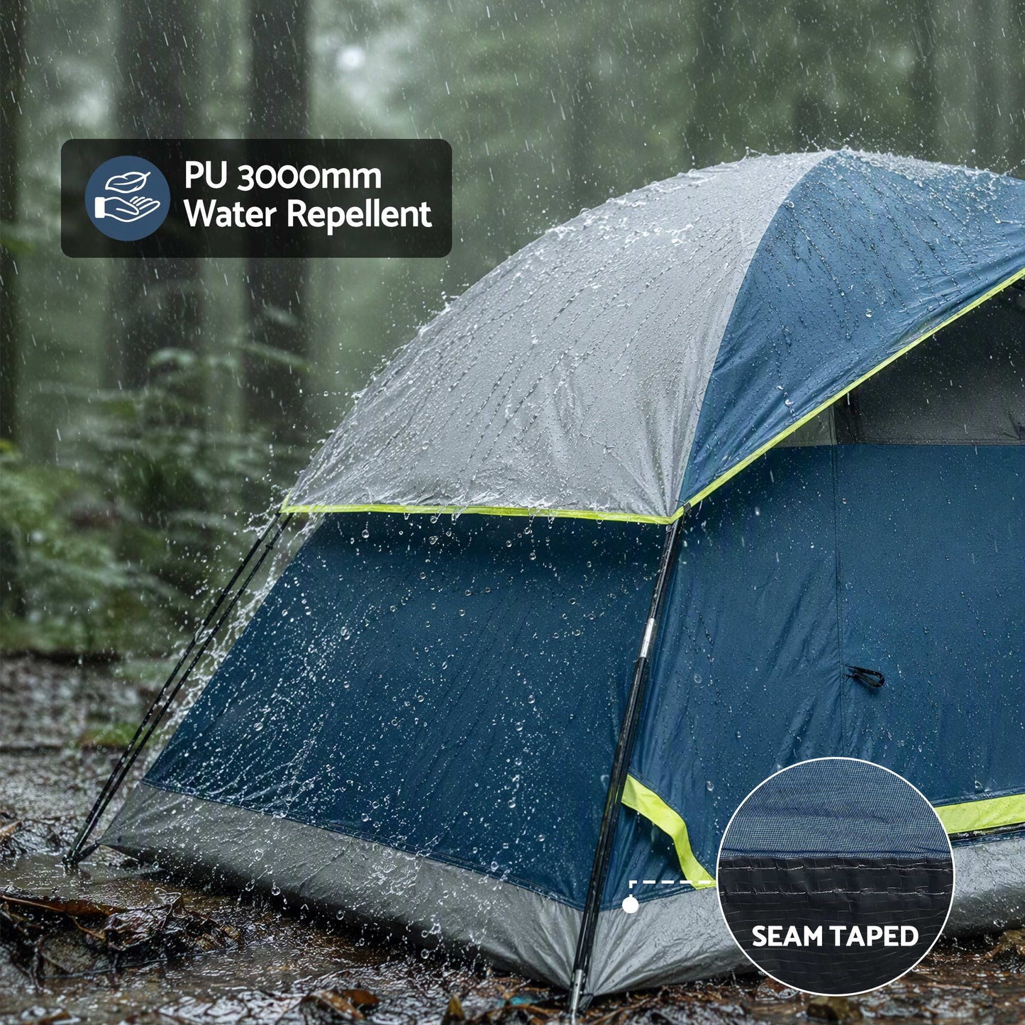 TENT-E-CA2-COLE-02.jpg