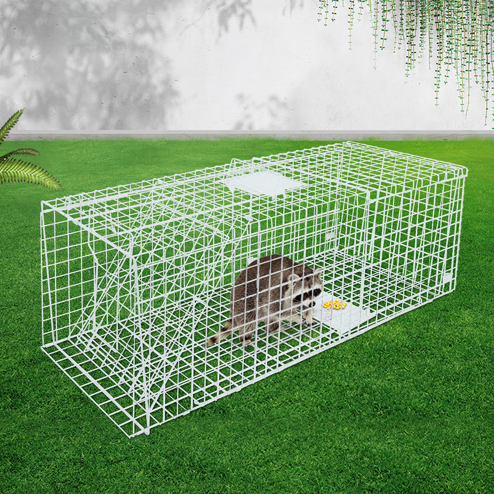 TRAP-CAGE-15050-06.jpg