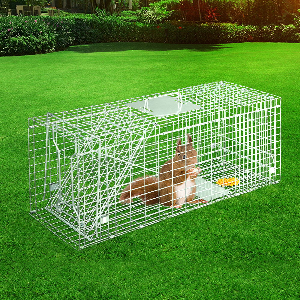 TRAP-CAGE-6623-04.jpg