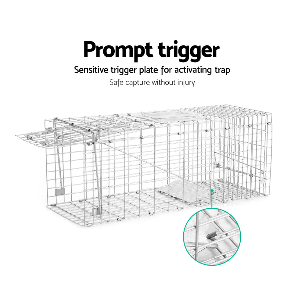 TRAP-CAGE-9434-04.jpg