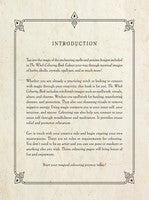 Witch Colouring Book, The (OOP)