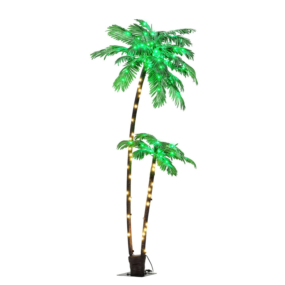 XM-TR-FAIRY-PALM01-202508191446-00.jpg