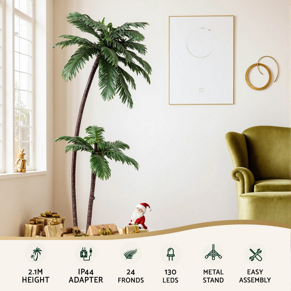 XM-TR-FAIRY-PALM01-202508191446-03.jpg