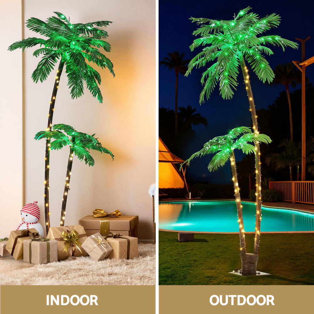 XM-TR-FAIRY-PALM01-202508191446-04.jpg
