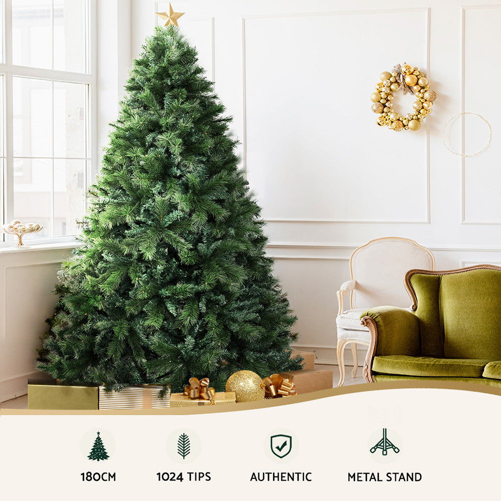 XM-TR-FULL-6F-PINE-202509291452-03.jpg