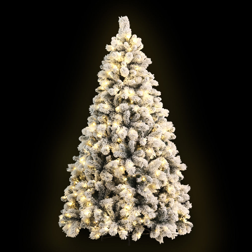 XM-TR-FULL-6FT-GS-LED-00.jpg