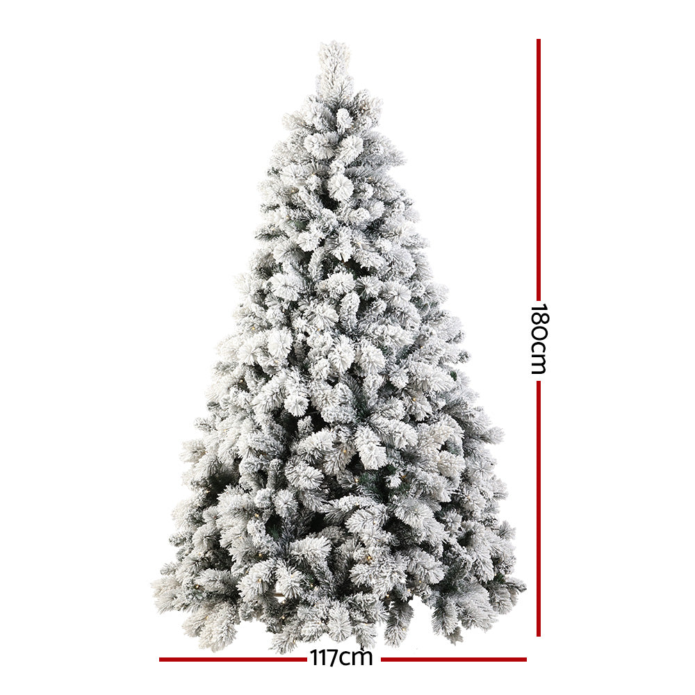 XM-TR-FULL-6FT-GS-LED-01.jpg