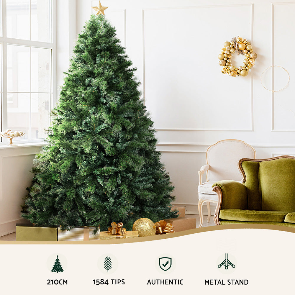 XM-TR-FULL-7F-PINE-202509291452-03.jpg
