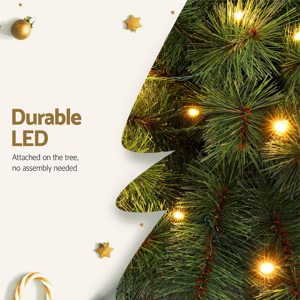 XM-TR-PALM-5FT-LED-202509291539-04.jpg