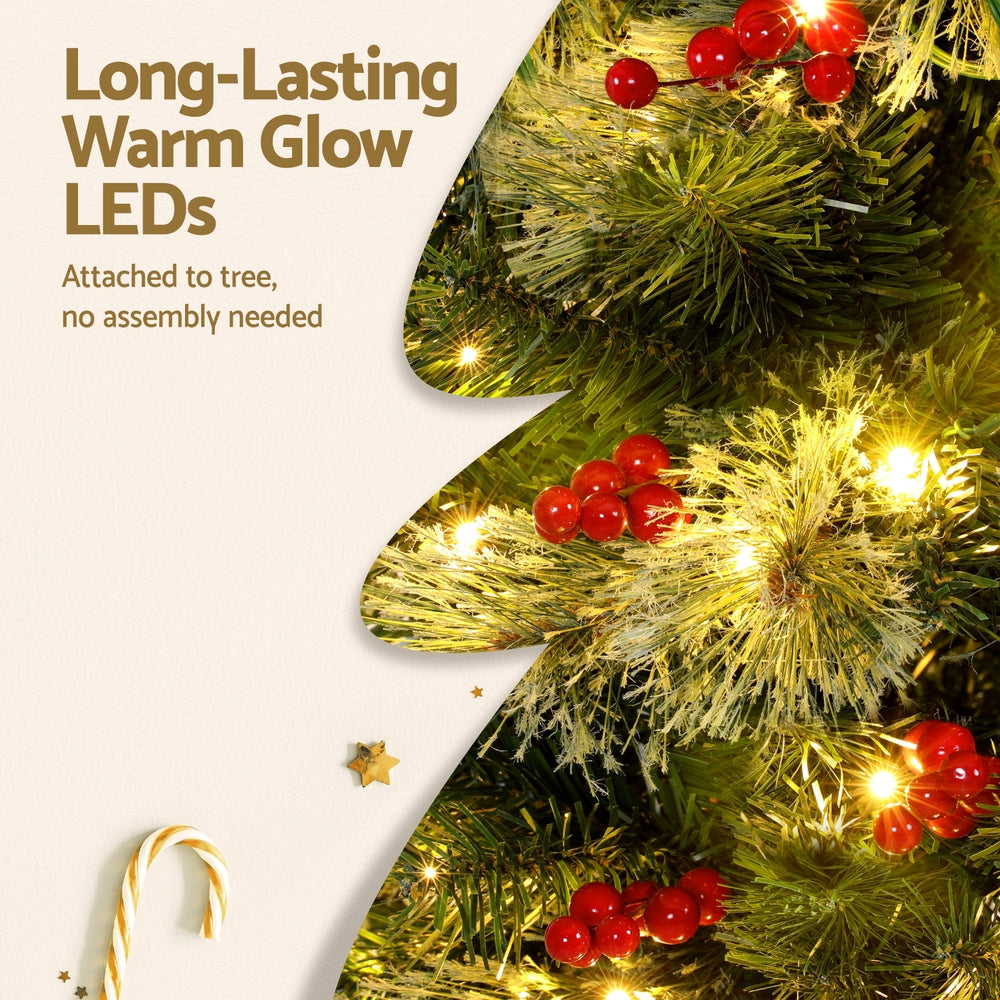 XM-TR-SLIM-PE-6FT-LED-202508061628-05.jpg
