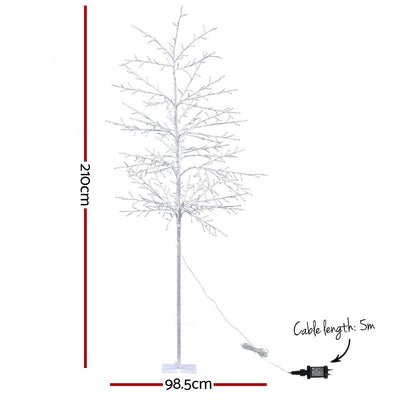XM-TR-TWIG-210-WW-01.jpg