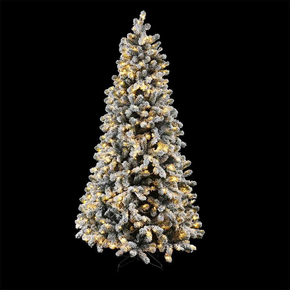 XM-TR-WELL-6FT-GS-LED-202509291552-00.jpg