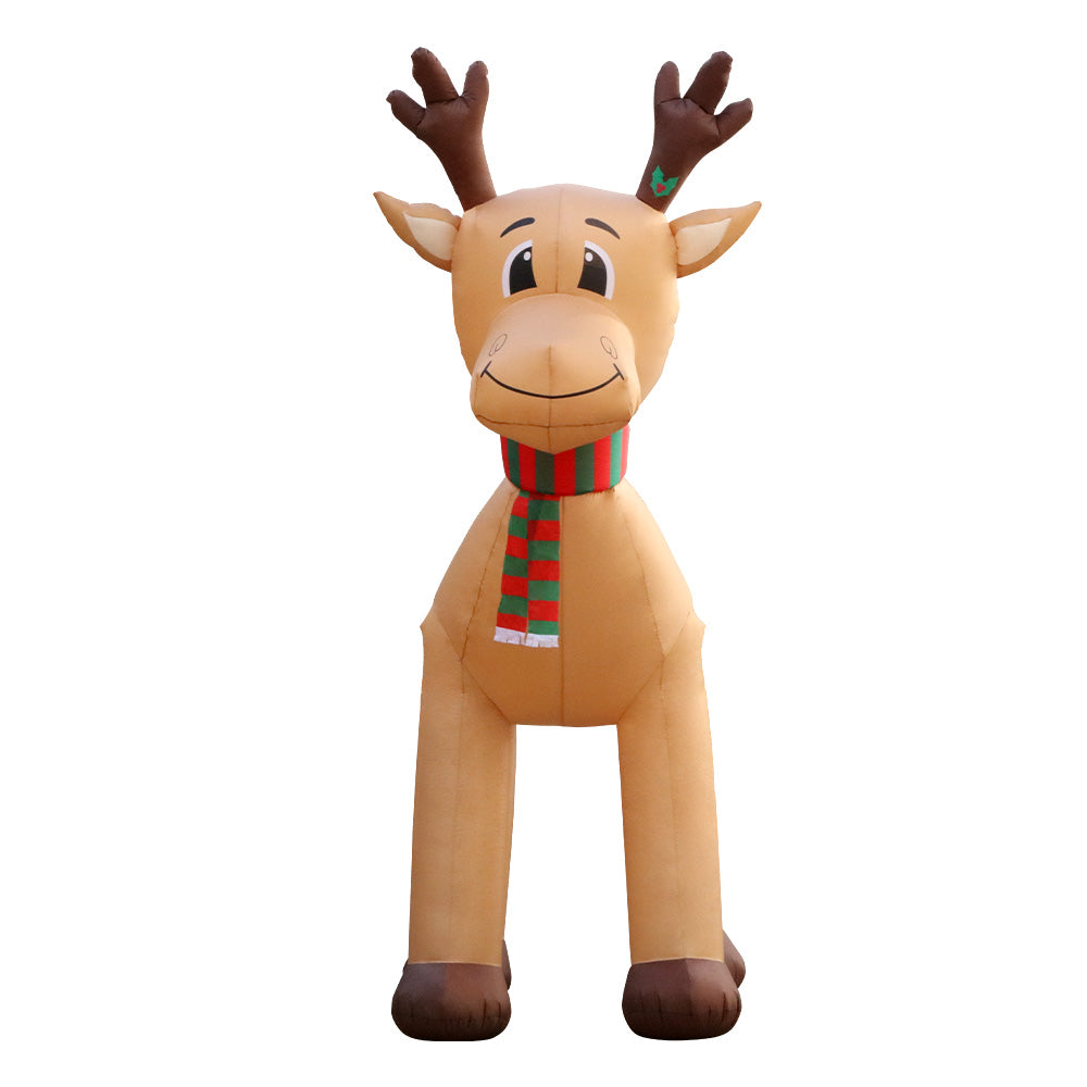 XMAS-INF-REIN-5M-02.jpg