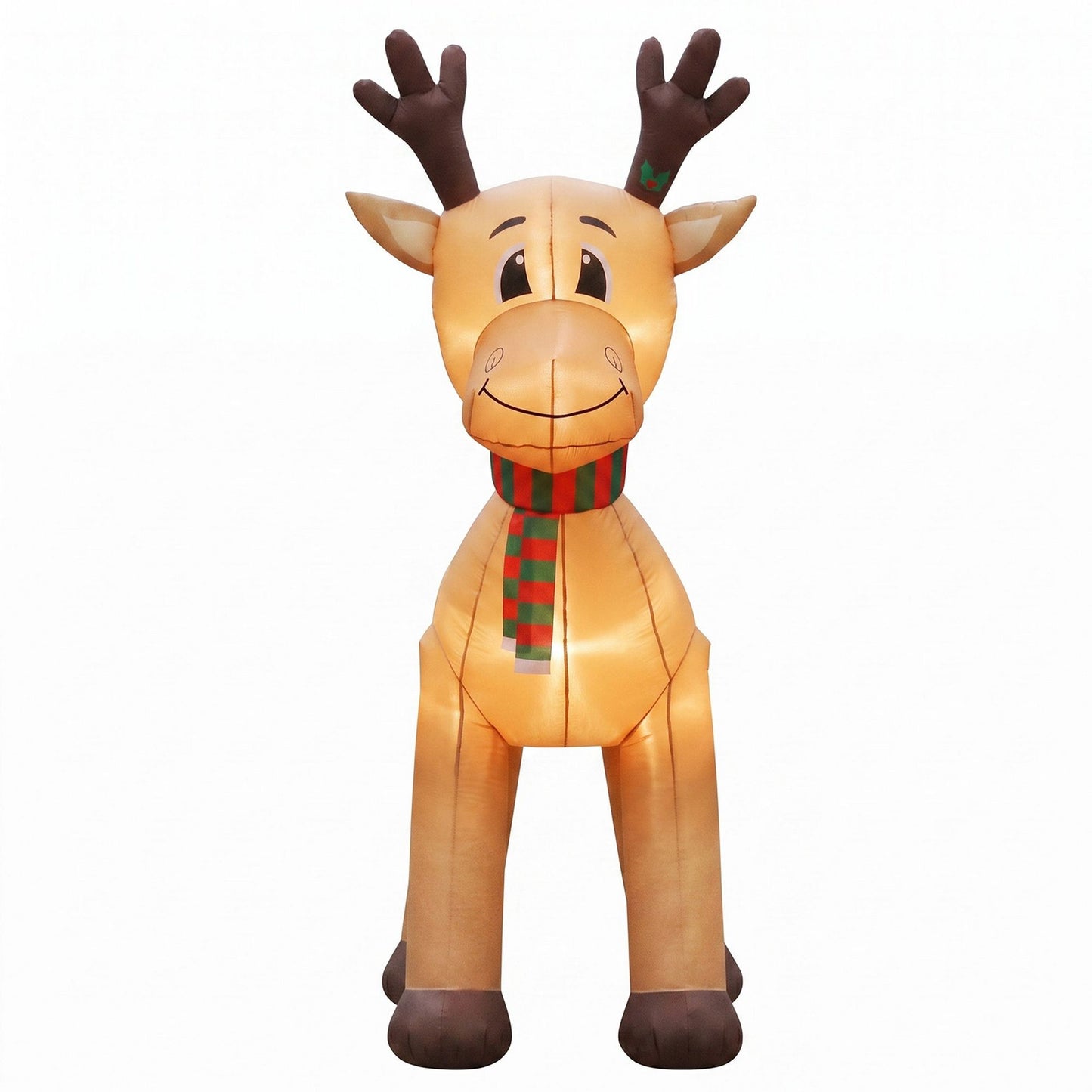 XMAS-INF-REIN-5M-02.jpg