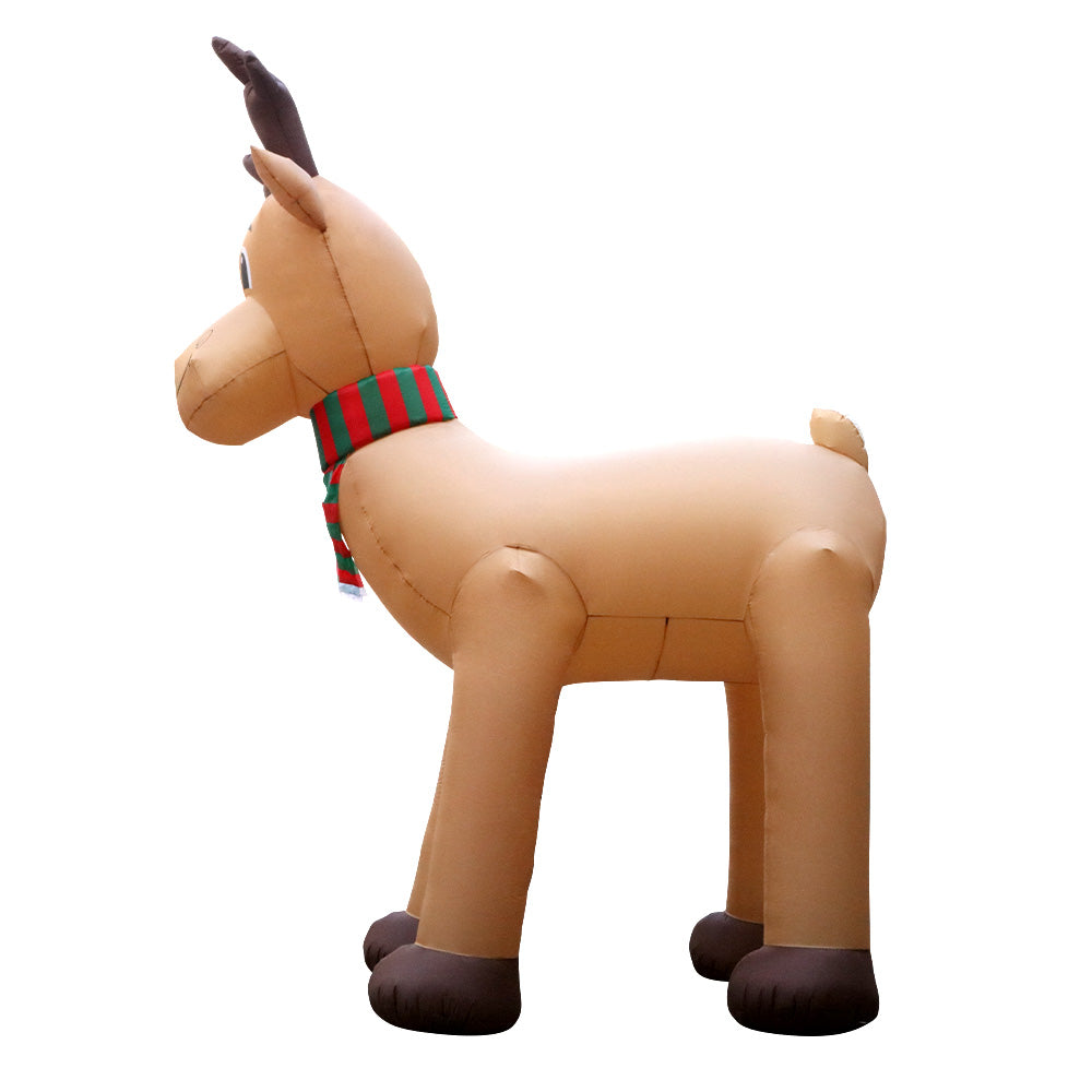 XMAS-INF-REIN-5M-03.jpg