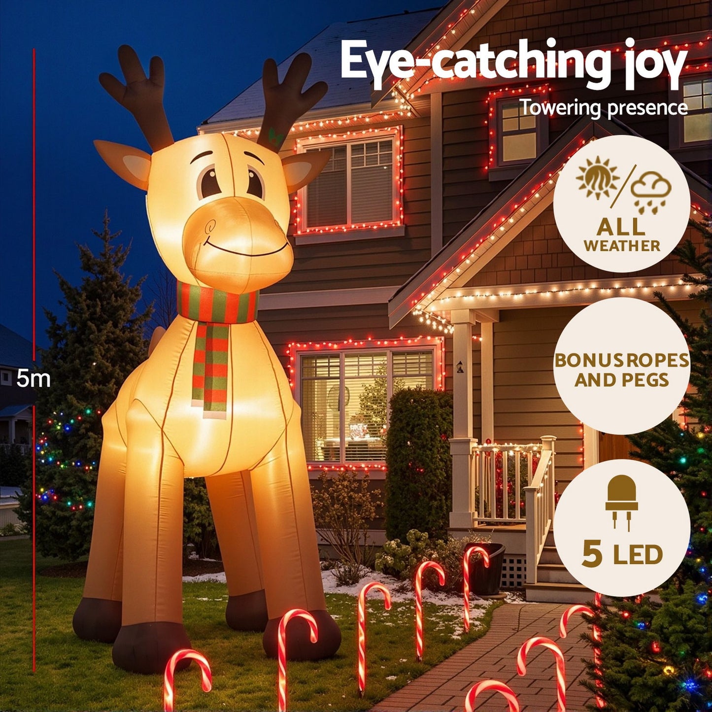 XMAS-INF-REIN-5M-03.jpg