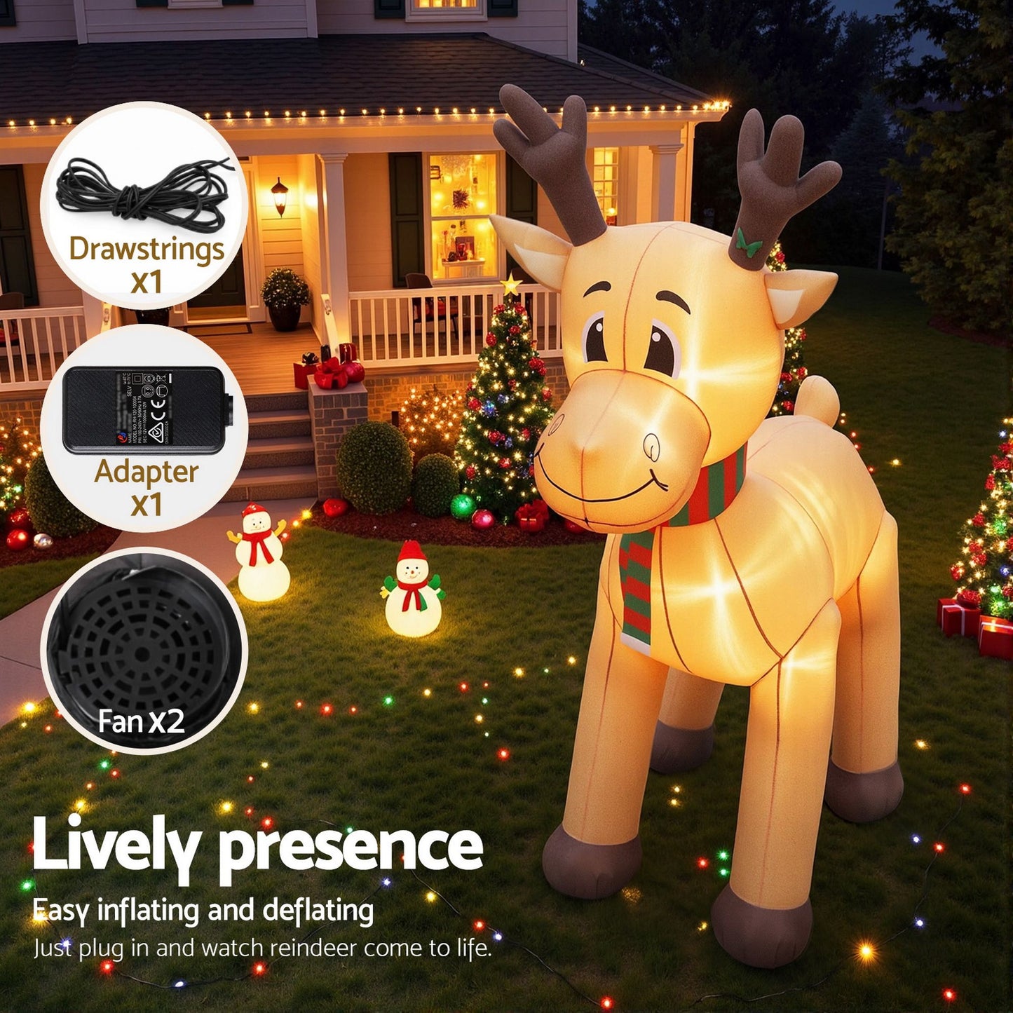 XMAS-INF-REIN-5M-06.jpg